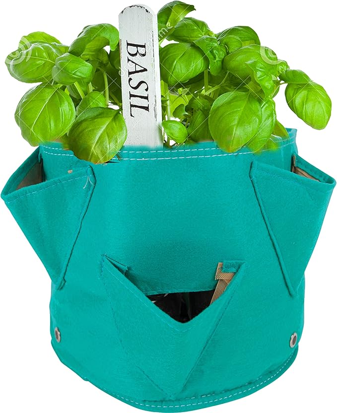BloemBagz Big Herb Planter, 5 Gallon, Living Green