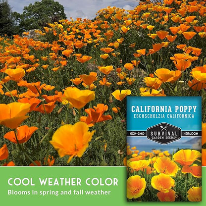 Survival Garden Seeds - California Poppy Seeds for Planting - 2 Packets with Instructions to Grow Eschscholzia Californica Plants in Your Home Flower Garden - Non-GMO Heirloom Wildflower Variety