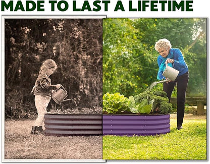 Plant & Plot Galvanized Raised Garden Beds Outdoor // 4×2×1 ft (2-Pack) Planter Raised Beds for Gardening, Vegetables, Flowers (Purple) // Large Metal Garden Box