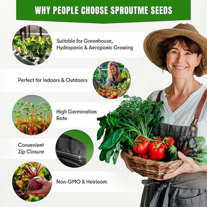 Radish Cherry Belle Seeds for Planting – 200+ Heirloom Non-GMO, Round Red Radish Variety for Spring & Fall Gardens, High Germination (Raphanus sativus)