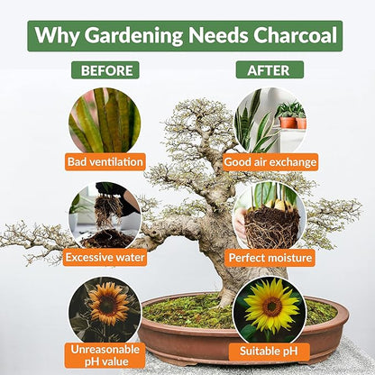Old Potters Premium Horticultural Charcoal Chips, Natural Soil Amendment for Areation and Healthy Microbe and Plant Growth. (24 Quarts)