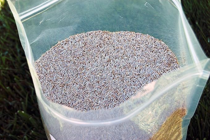 Creeping Red Fine Fescue Seed by Eretz (5lb) - Choose Size! Willamette Valley Oregon Grown, No Fillers, No Weed or Other Crop Seeds, Premium Shade Grass Seed.