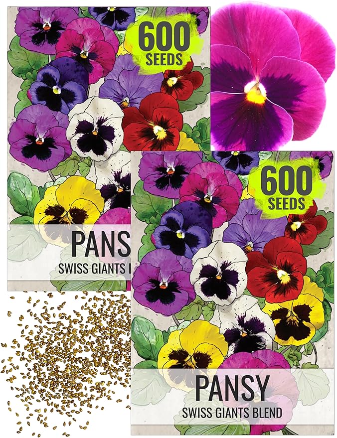 Seed Needs, Swiss Giants Pansy Seeds - 600 Heirloom Seeds for Planting Viola wittrockiana - Annual Edible Flowers That Attract Butterflies & Other Pollinators (2 Packs)