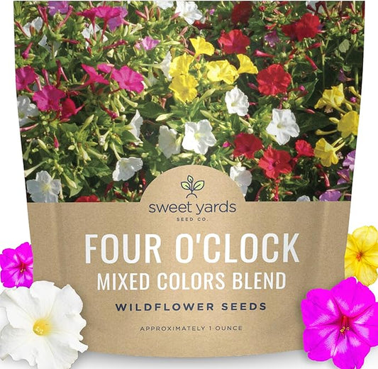 Four O'Clock Mixed Colors Blend - Large 1 Ounce Packet - 300 Flower Seeds for Planting - Mirabilis Jalapa