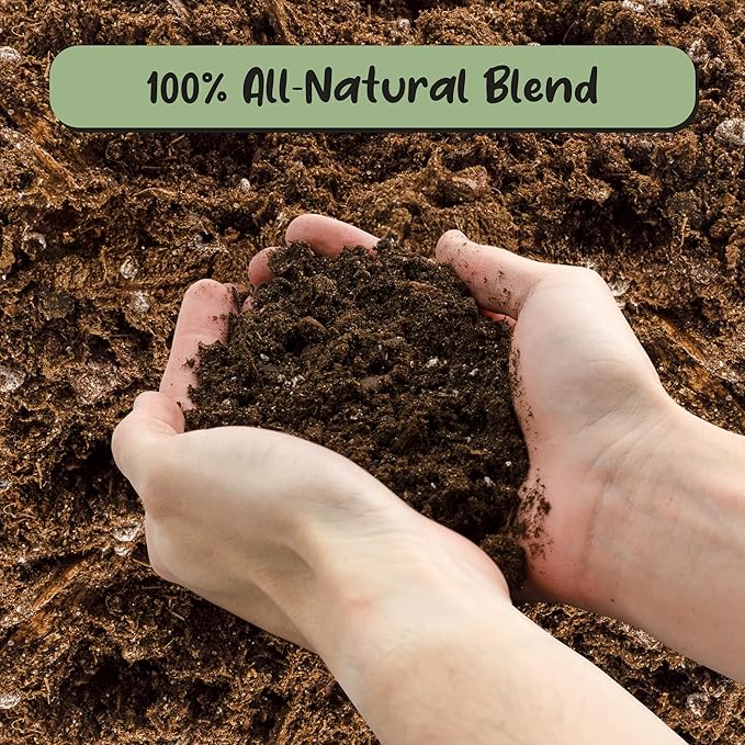 Soil Sunrise Banana Tree Potting Soil Mix (12 Quarts) – Hand-Blended Indoor/Outdoor Mix for Healthy Banana Plants – Enhances Drainage & Root Support – Made in USA
