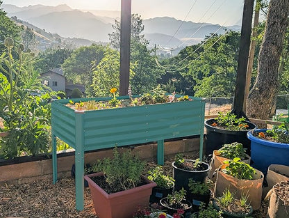 Galvanized Raised Garden Beds Outdoor with Legs // 48×24×31in Elevated Planter Box for Vegetables, Flowers (Turquoise) // Large Metal Garden Bed for Backyard Patio Gardening
