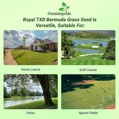 Outsidepride Royal TXD Bermuda Grass Seed Blend - 25 lbs. Warm Season, Fast Growing Turf Grass Seeds: Heat & Drought Tolerant, Ideal for Home Lawns & Sports Fields, Dense & Lush Green Coverage