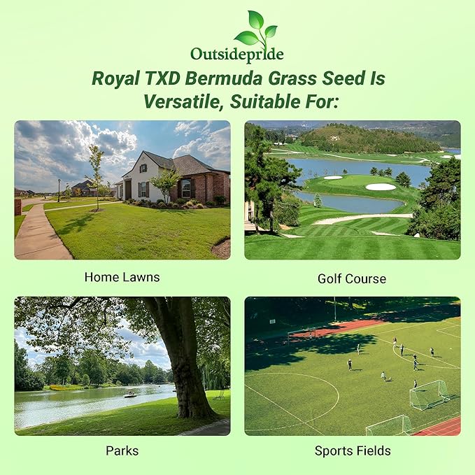 Outsidepride Royal TXD Bermuda Grass Seed Blend - 2 lbs. Warm Season, Fast Growing Turf Grass Seeds: Heat & Drought Tolerant, Ideal for Home Lawns & Sports Fields, Dense & Lush Green Coverage