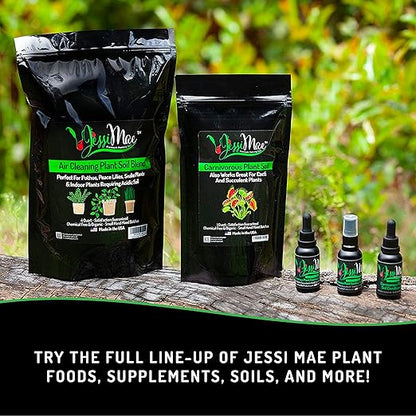 Jessi Mae Carnivorous Plant Food Drops - 30 ml - No-Dip Applicator for Carnivorous Plant Fertilizer - Nutrient-Rich Formula - Seaweed & Blood Meal Blend