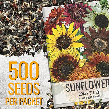 Seed Needs Sunflower Seeds to Plant The Original Crazy Blend | 500+ Heirloom Seeds 15+ Varieties Open Pollinated & Untreated | XL Packet Multicolored Blooms Flower Seed