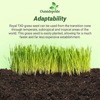 Outsidepride Royal TXD Bermuda Grass Seed Blend - 5 lbs. Warm Season, Fast Growing Turf Grass Seeds: Heat & Drought Tolerant, Ideal for Home Lawns & Sports Fields, Dense & Lush Green Coverage