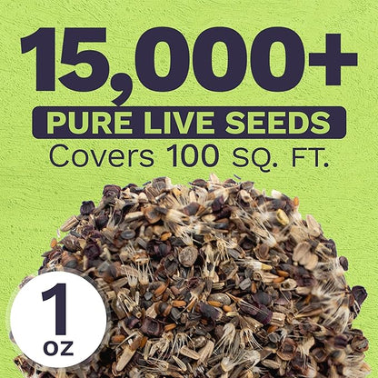 Perennial Wildflower Seeds Mixture - Bulk 1 Ounce Packet - Over 15,000 Pure Live Seed - Open Pollinated and Non GMO…