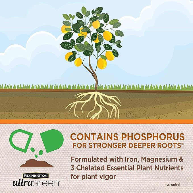 Pennington 100525941 UltraGreen Citrus & Avocado 10-5-5 Plant Food, 5 lb
