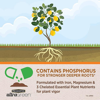 Pennington 100525941 UltraGreen Citrus & Avocado 10-5-5 Plant Food, 5 lb