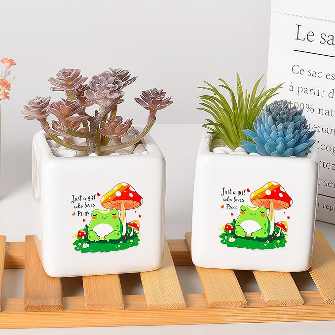 Frog Succulent Planter Flower Plant Pot Small, Gifts for Women Teens Girls Kids, Frog Lovers Themed Stuff Accessories Things Decor Merch, Home Office Table Desk Decoration!
