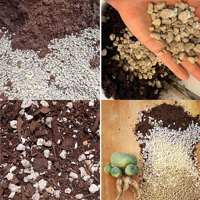 Organic Pumice for Bonsai and Horticultural 100% Natural (2 gallons, 1/2 inch)