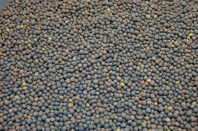 Hairy Vetch Legume Seed by Eretz (10lb) - Choose Size! Willamette Valley, Oregon Grown, Non-GMO, No Fillers, No Coatings, No Weed Seeds.