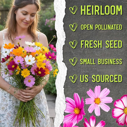 Seed Needs Flower Seeds Cosmos Crazy Blend No Filler 10+ Varieties Cosmos | Cosmo Bipinnatus Open Pollinated Untreated | Resealable Packaging Keeps Seeds Fresh | Bulk Cosmos Flowering Seed Mix