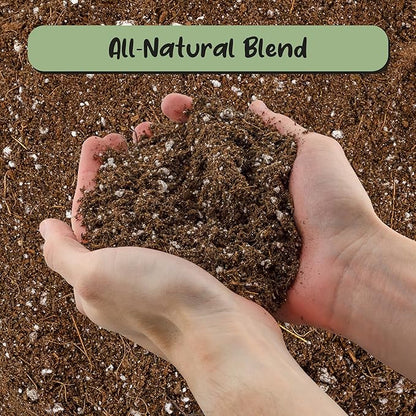 Soil Sunrise Desert Rose Potting Soil Mix (8 Quarts) Hand Blended Small Batch Soil Blend for Desert Rose Plant