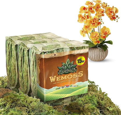 Natural Moss for Plants Indoor, Dried Moss for Potted Plants, Orchid Moss for Repotting, Forest Moss for Orchid Potting Mix, Decorative Moss Filler for Planters and Craft Moss (15oz)