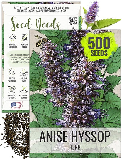 Seed Needs Anise Hyssop Seeds for Planting Agastache foeniculum - Non-GMO Heirloom & Untreated - Grow a Medicinal/Culinary Herb Garden for Tea & Essential Oils (1 Pack)