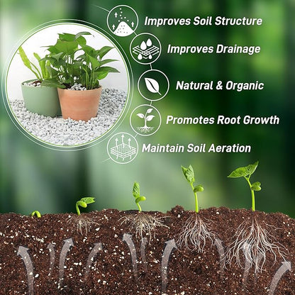 3 Quarts Chunky Perlite for Plant Soil Amendment for Potting Soil, Improves Drainage and Aeration for Soil, Ideal for Succulents, Orchid, Flower Plants (1/4 inch)