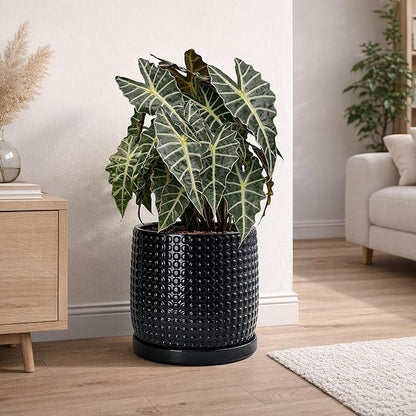 D'vine Dev 10 Inch Ceramic Beaded Stoneware Planter Pot - Flower Pot with Drainage Holes and Saucers for Indoor Succulent Plants or Flowers, Glossy Black, 27-C-P-2