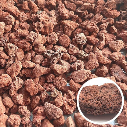 Red Lava Rocks for Plants -100% Pure Volcanic Rock No Dyes or Chemicals-Best Lava Stones Top Dressing for Cacti Succulents Plants,Bonsai-5LBS