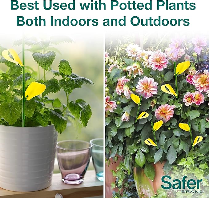 Safer Brand 5026 Houseplant Sticky Stake Insect Traps for Indoor Plants - Controls Fungus Gnats, Whiteflies, Midges, Thrips, Fruit Flies, and Black Flies - 1 Pack, 7 Traps