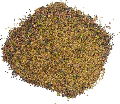 1/2 lb Salad Style Bean Sprout Starter Seeds - 23 Servings per Bag! - Non-GMO Organic - Sprouting Mix - Includes Alfalfa, Broccoli, Radish, Mung, and Green Lentil