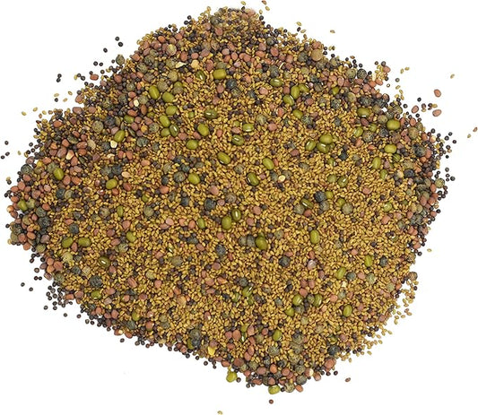 1/2 lb Salad Style Bean Sprout Starter Seeds - 23 Servings per Bag! - Non-GMO Organic - Sprouting Mix - Includes Alfalfa, Broccoli, Radish, Mung, and Green Lentil