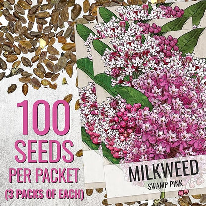 Seed Needs Milkweed Seeds to Plant a Butterfly Garden for Attracting Monarch Butterflies - Collection of Pink, Orange & White Asclepias Milk Weed Variety Pack (5 Packs)