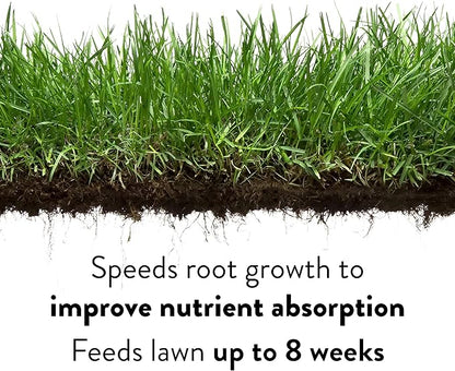 GreenView Lawn Food – 16 lb. – Covers 5,000 sq. ft.