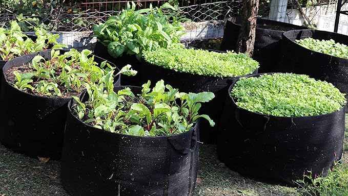 RootEase 5-Pack Garden Planting Aeration Fabric Pot, Heavy Duty Durable Fabric Grow Bag / Planter, Raised Bed Gardening, Best Air Pruning Root Treatment Eco-Friendly Grow Bags with Handles