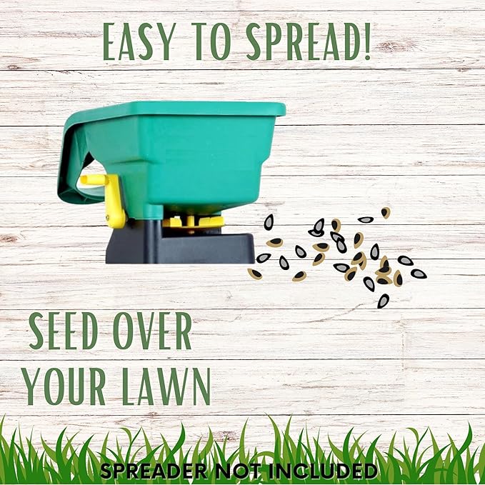 Flawn Seed Kits Simple Lawn Mow Less Fine Fescue Eco-Grass Seed, 4 Lbs, Low Maintenance, Resealable Pail with Handle, Covers up to 2000 Sqft