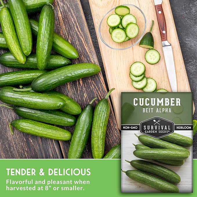 Beit Alpha Cucumber Seeds for Planting | Crisp Burpless Variety with Smooth Skin – Heirloom, Non‑GMO – Survival Garden Seeds (5 Packs)