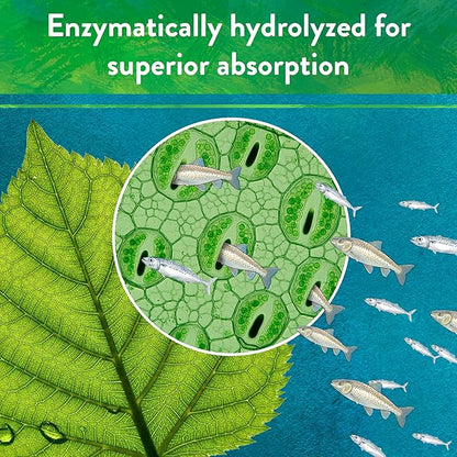 Down to Earth All Natural Fertilizers Organic Solution Grade Fish Powder - Water Soluble Nitrogen - Makes up to 250 Gallons of Liquid Fish Fertilizer for Soil or Foliar Spray 12-1-1, 5 lb