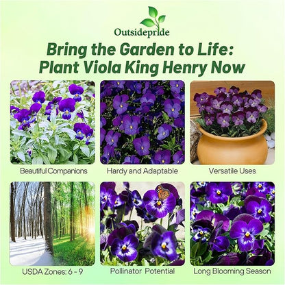 Outsidepride King Henry Viola Pansy Seeds for Planting - 2000 Pcs. Perennial, Cold-Hardy & Pollinator Friendly Flowers with Fragrant Blooms for Garden Beds, Borders & Container Displays