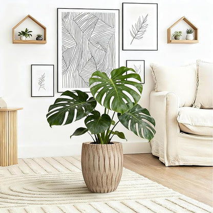 12" H x 9" Dia Weathered Concrete Planter, Large Indoor Outdoor Decorative Flower Pot with Drainage Hole, Modern Round Design for Home, Garden (Small)