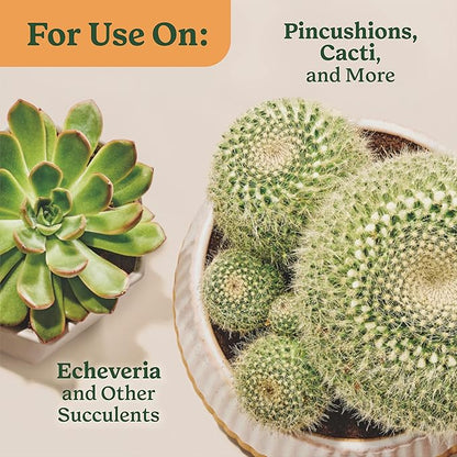 Miracle-Gro Indoor Plant Food for Cactus and Succulent, Liquid Plant Food for Indoor Succulents and Cactus, 8 fl. oz., 2-Pack