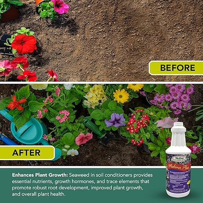 Medina Plus Liquid Fertilizer - Qt.
