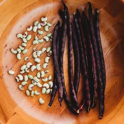 Pink-Eyed Purple Hull Cowpea - 50 Seeds - Heirloom Variety, USA-Grown, Non-GMO Purple Hull Pea Seeds for Planting Outdoors in The Home Garden, Thresh Seed Company