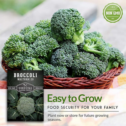 Cool Weather Garden Seeds Collection | Fall & Spring Planting – Grow Broccoli, Kale, Lettuce, Spinach & Cilantro | Cold Hardy Winter Vegetables – Survival Garden Seeds
