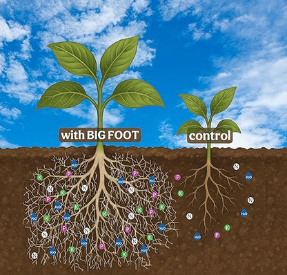 Mycorrhizal Fungi for Massive Plant Roots with Beneficial Organisms by Big Foot - Use During Transplanting, Water in or Hydroponics for All Plants - Gold 32 Ounces