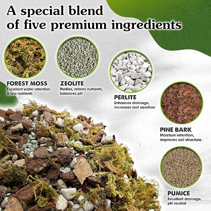 5-in-1 Orchid Potting Mix with Forest Moss, Pine Bark, Perlite, Zeolite, and Pumice – Orchid Soil, Orchid Repotting Kit for Healthy Roots, Fast Drainage, and Support for Growth 1 QRT