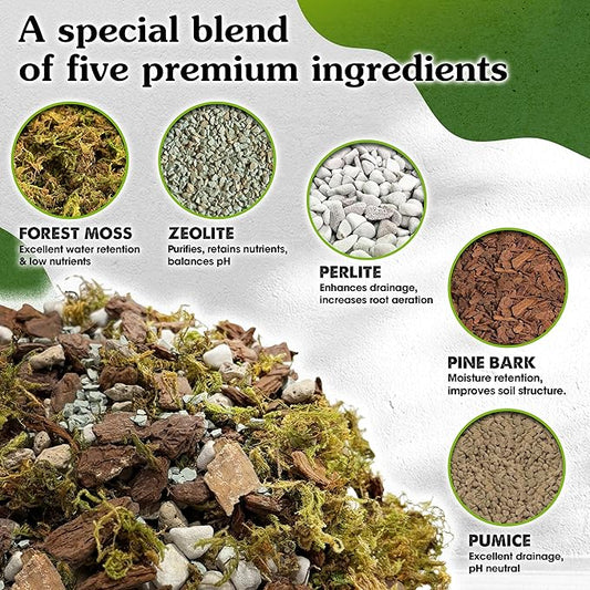 5-in-1 Orchid Potting Mix with Forest Moss, Pine Bark, Perlite, Zeolite, and Pumice – Orchid Soil, Orchid Repotting Kit for Healthy Roots, Fast Drainage, and Support for Growth 4 QRT
