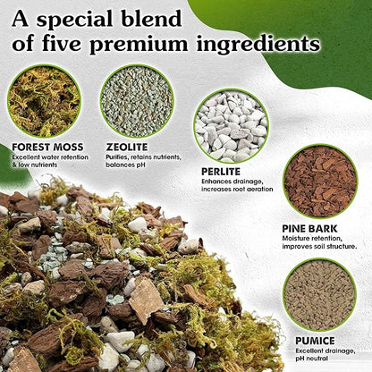 5-in-1 Orchid Potting Mix with Forest Moss, Pine Bark, Perlite, Zeolite, and Pumice – Orchid Soil, Orchid Repotting Kit for Healthy Roots, Fast Drainage, and Support for Growth 2 QRT