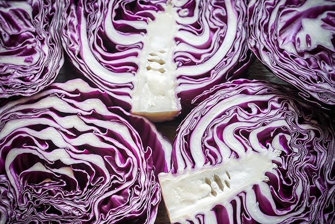 Red Acre Cabbage Seeds for Planting – Plant & Grow Heirloom Red Acre Cabbage in Home Outdoor Vegetable Garden, Brassica oleracea VAR. capitata– 2 Packets