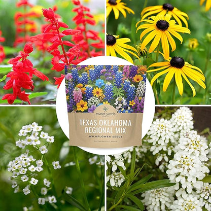 Texas Oklahoma Wildflower Seeds Mixture - Bulk 1 Ounce Packet - Over 15,000 Native Seeds - Open Pollinated and Non GMO