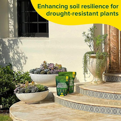 Cactus Soil Potting Mix Succulent Soil Potting Mix for Succulents with Mycorrhizae Indoor Cactus Blend with Mycorrhizal Fungi for Indoor Plants Well Draining Gritty